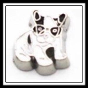 Dog (Pitbull w/Glasses) Charm
