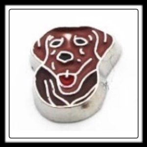 Dog (Rottweiler) Charm